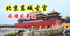 操B爆浆中国北京-东城古宫旅游风景区